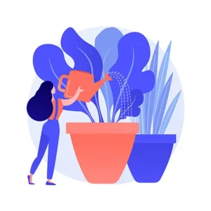 Illustration d'une personne qui arrose ses plantes